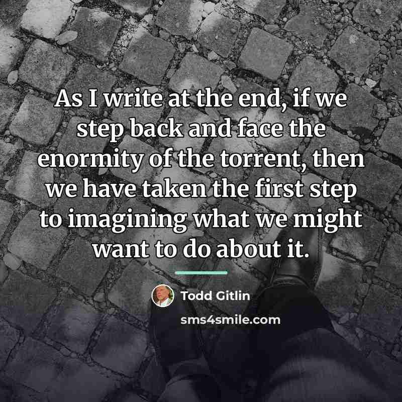 “As I write at the end, if we step back…” quote by Todd Gitlin