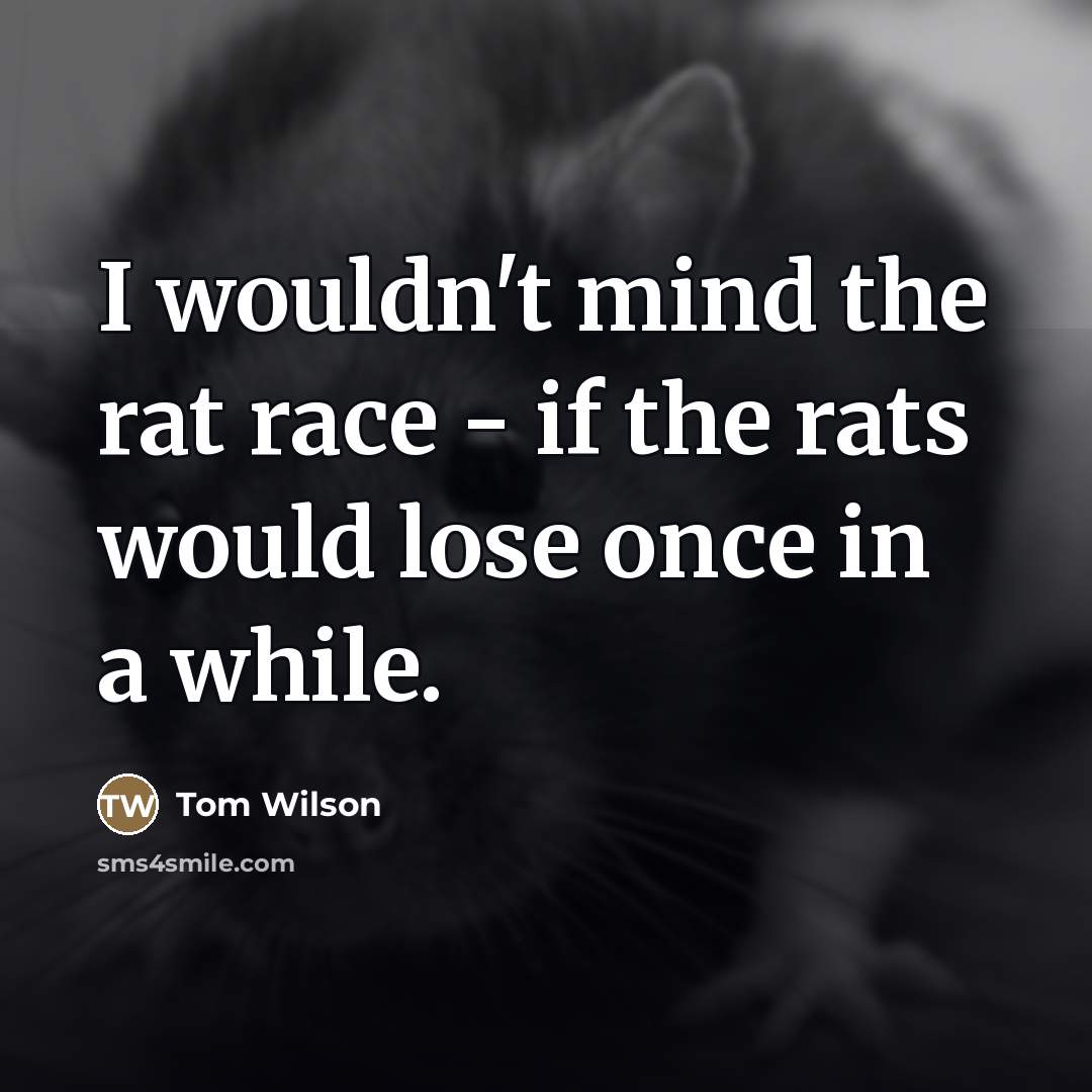 “I wouldn't mind the rat race - if the rats…” quote by Tom Wilson