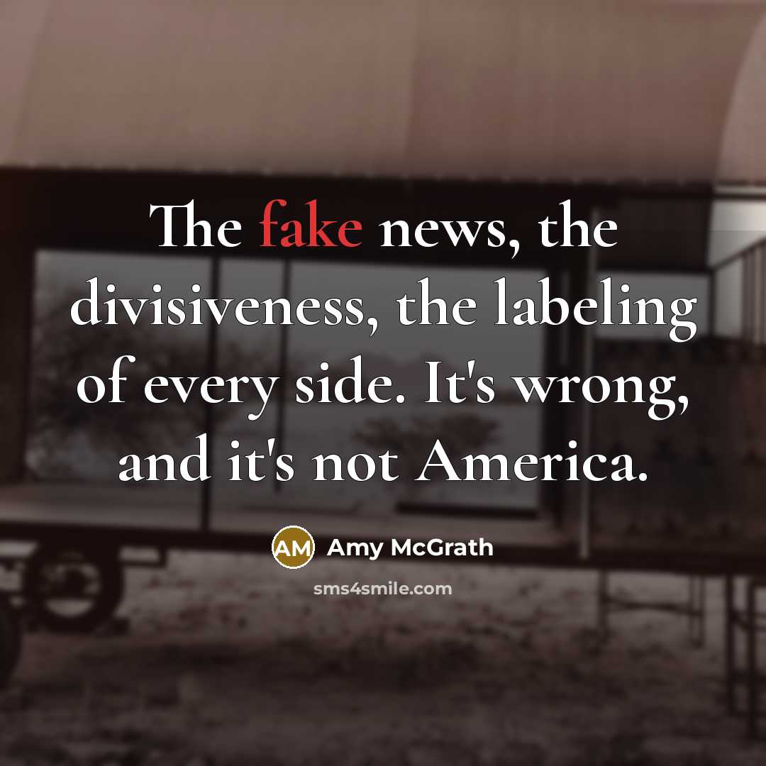 “The fake news, the divisiveness, the labeling of every side.…” quote by Amy McGrath