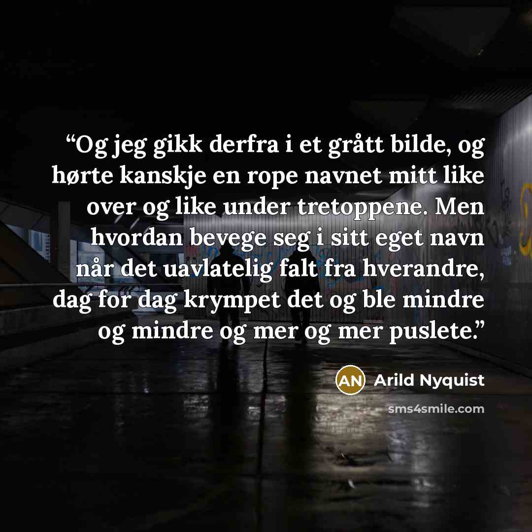 “Og jeg gikk derfra i et grått bilde, og hørte kanskje en rope navnet mitt like over og like under tretoppene. Men hvordan bevege seg i sitt eget navn når det uavlatelig falt fra hverandre, dag for dag krympet det og ble mindre og mindre og mer og mer puslete.” quote by Arild Nyquist