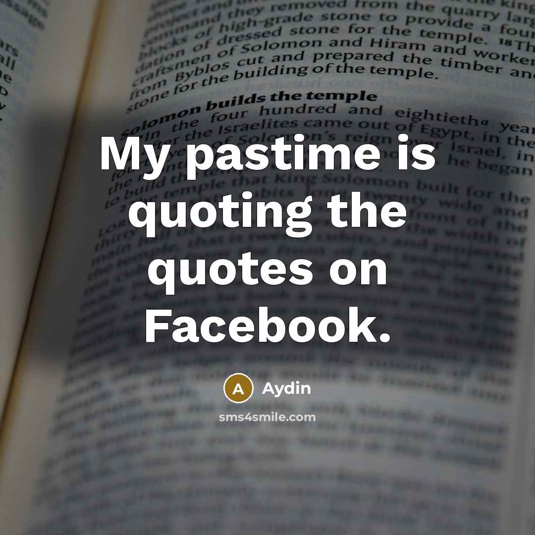 “My pastime is quoting the quotes on Facebook.…” quote by Aydin