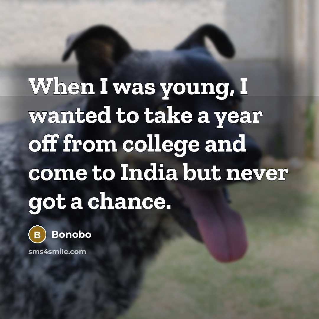 “When I was young, I wanted to take a year…” quote by Bonobo