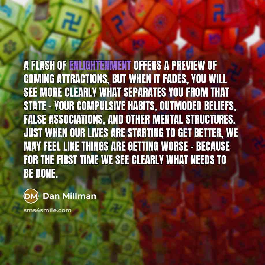 “A flash of enlightenment offers a preview of coming attractions,…” quote by Dan Millman