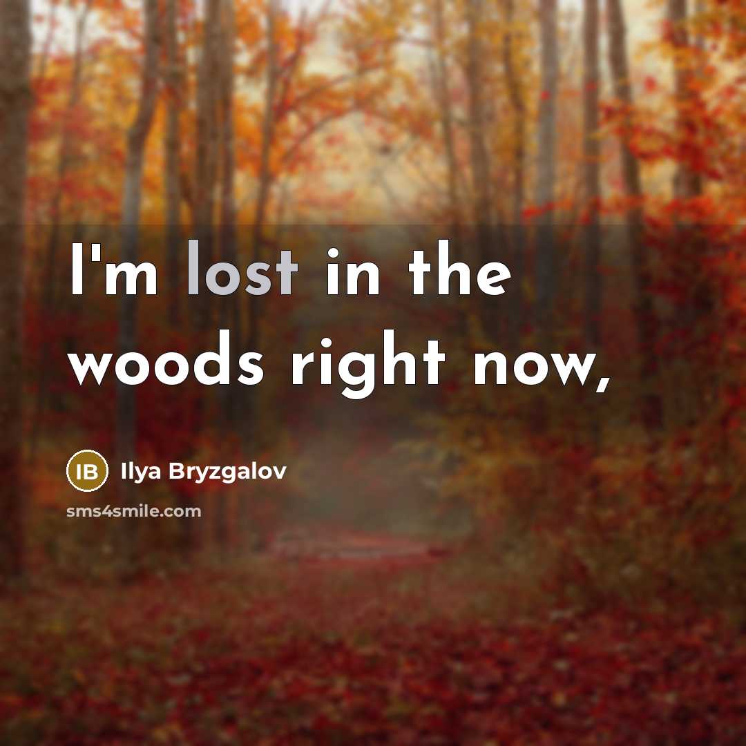 “I'm lost in the woods right now,…” quote by Ilya Bryzgalov