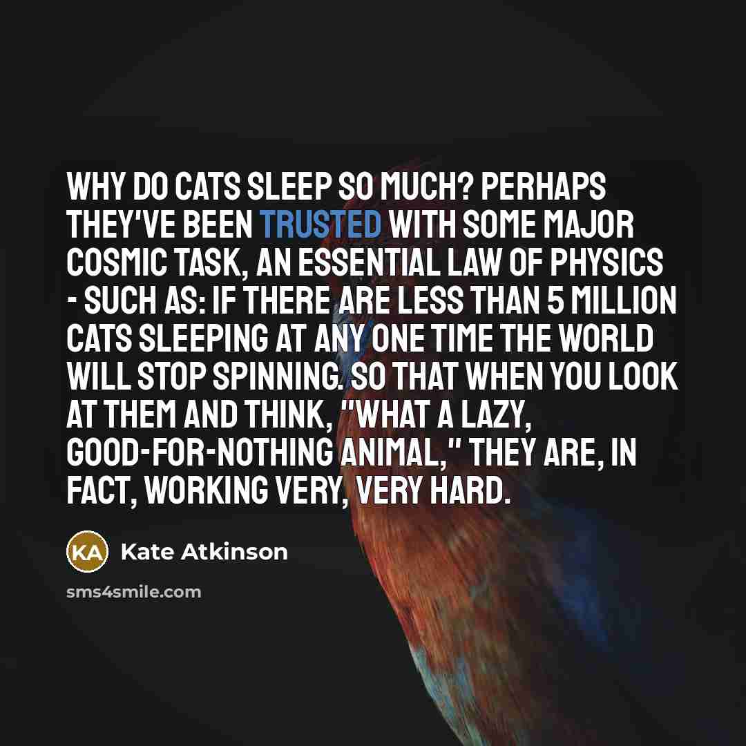 “Why do cats sleep so much? Perhaps they've been trusted…” quote by Kate Atkinson