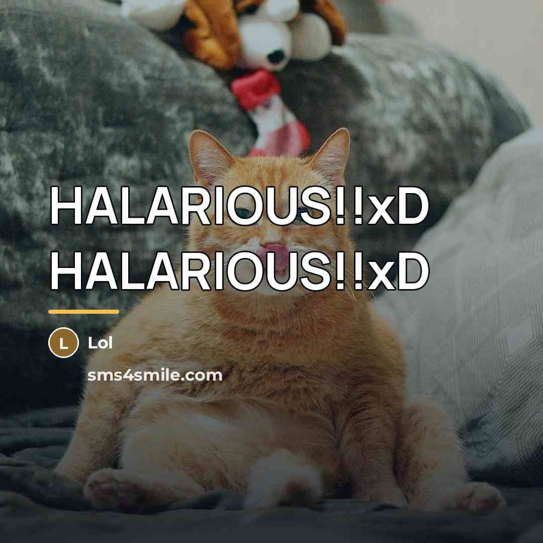 “HALARIOUS!!xD HALARIOUS!!xD…” quote by Lol