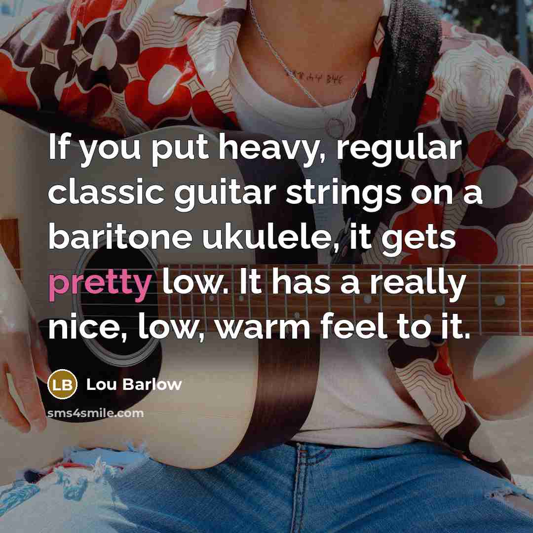 “If you put heavy, regular classic guitar strings on a…” quote by Lou Barlow