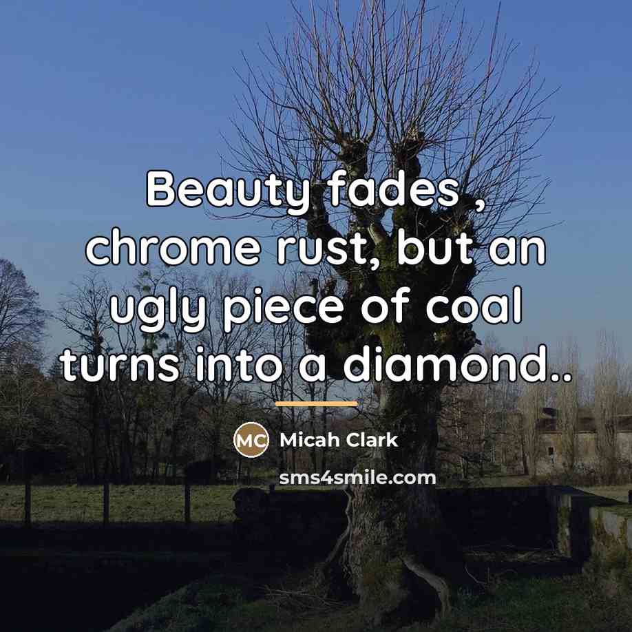 “Beauty fades , chrome rust, but an ugly piece of…” quote by Micah Clark
