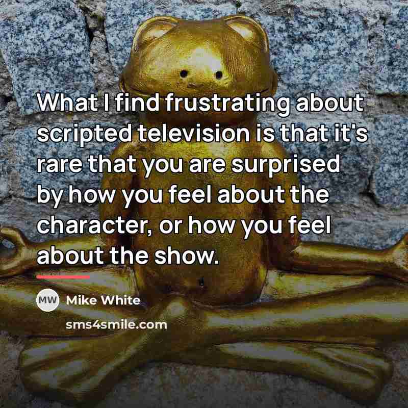 “What I find frustrating about scripted television is that it's…” quote by Mike White