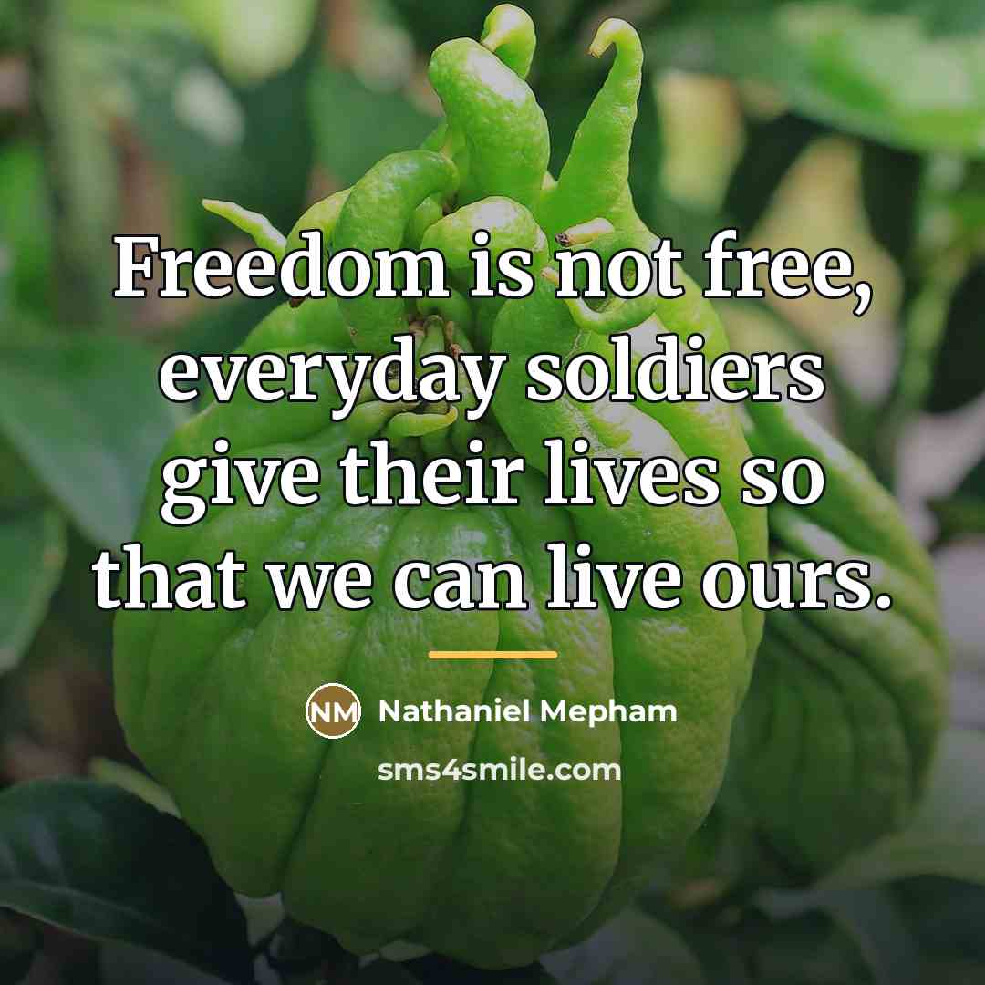 “Freedom is not free, everyday soldiers give their lives so…” quote by Nathaniel Mepham