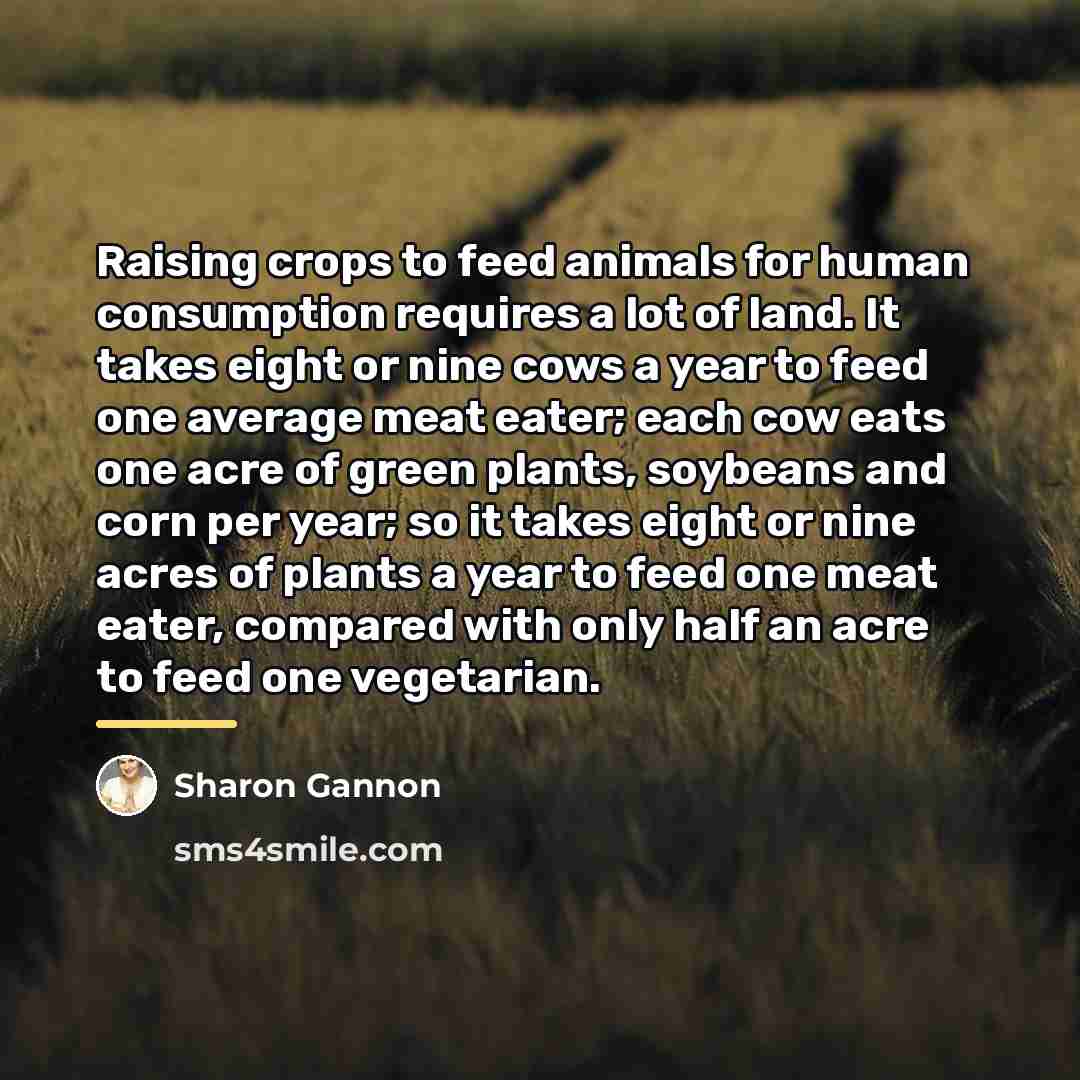 “Raising crops to feed animals for human consumption requires a…” quote by Sharon Gannon