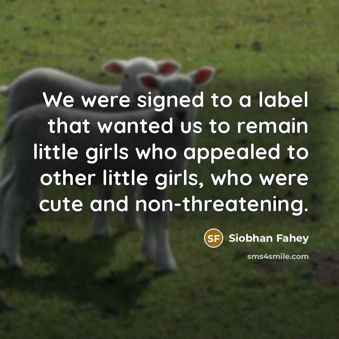 “We were signed to a label that wanted us to…” quote by Siobhan Fahey