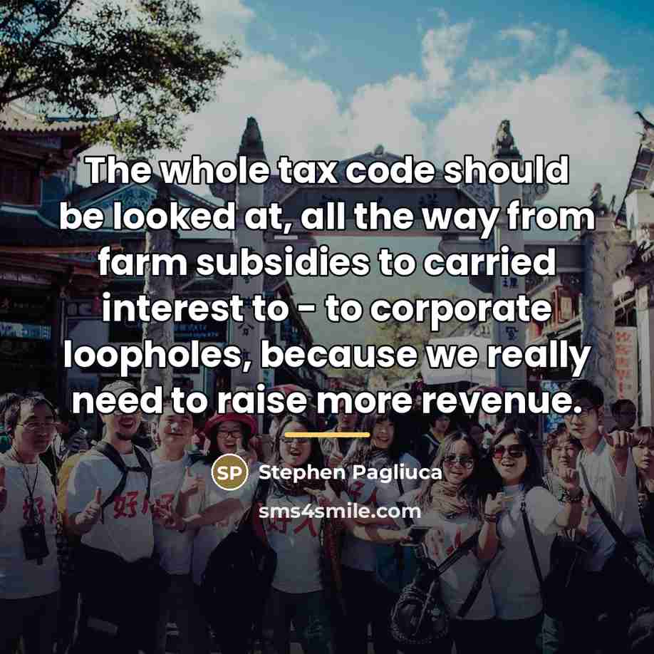 “The whole tax code should be looked at, all the…” quote by Stephen Pagliuca