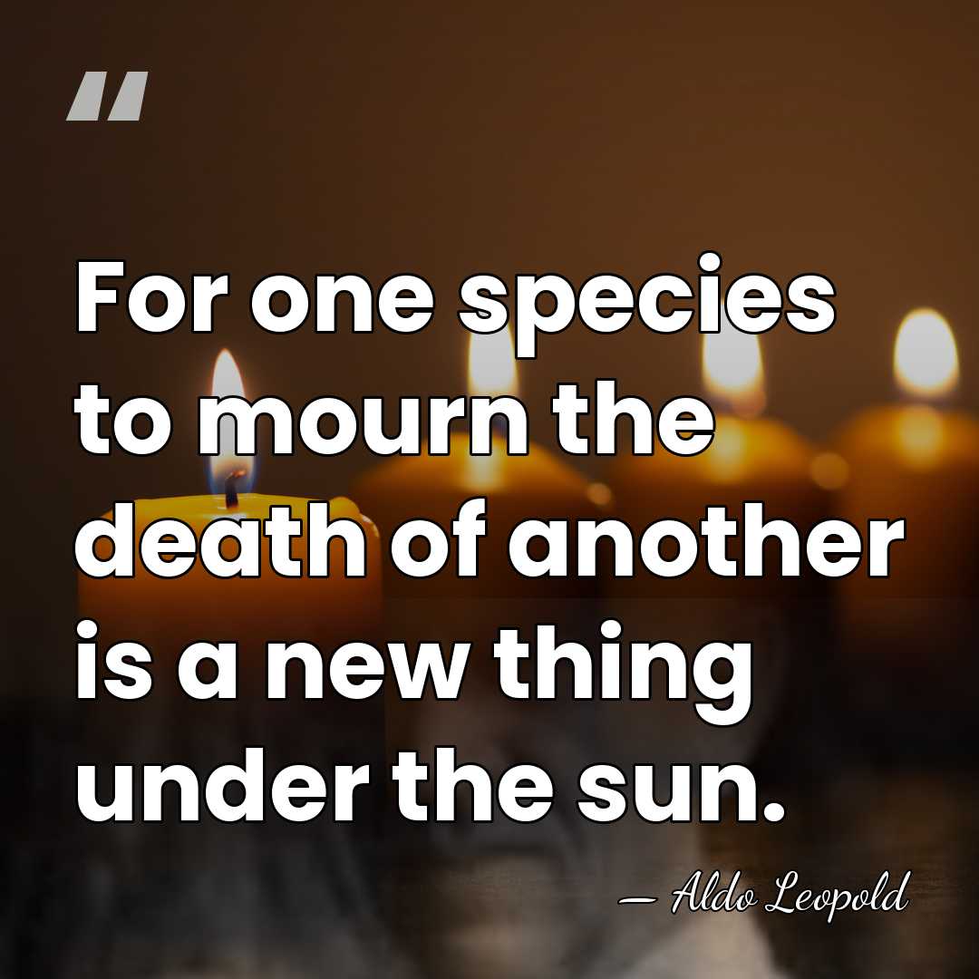 For one species to mourn the death of another is a new&hellip; - Aldo Leopold
