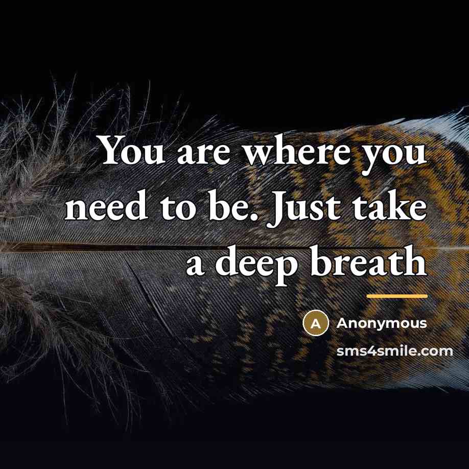 “You are where you need to be. Just take a…” quote by Anonymous
