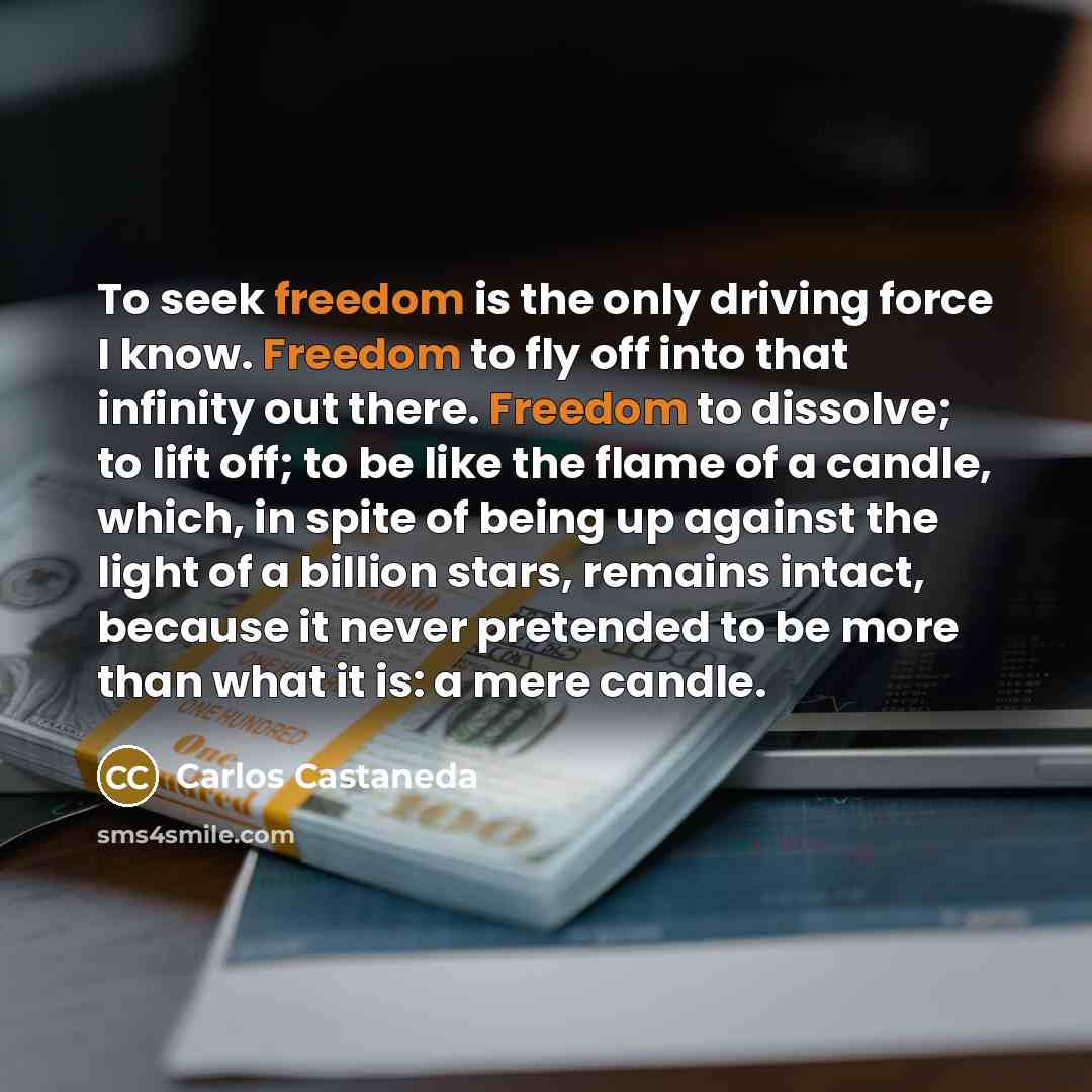 “To seek freedom is the only driving force I know.…” quote by Carlos Castaneda