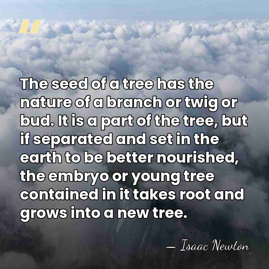 The seed of a tree has the nature of a branch or&hellip; - Isaac Newton