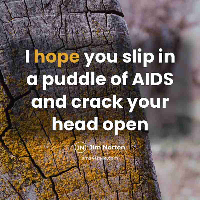 “I hope you slip in a puddle of AIDS and…” quote by Jim Norton