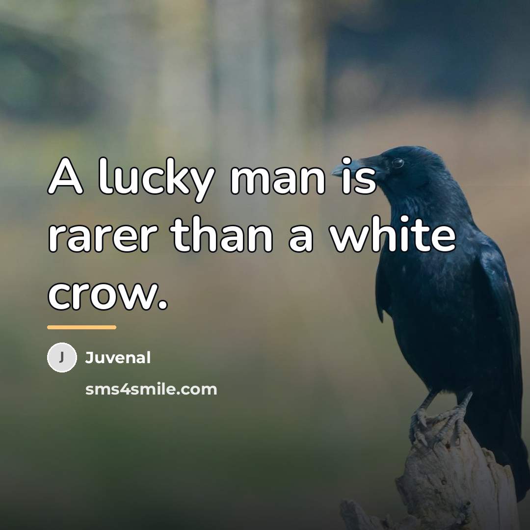 “A lucky man is rarer than a white crow.…” quote by Juvenal