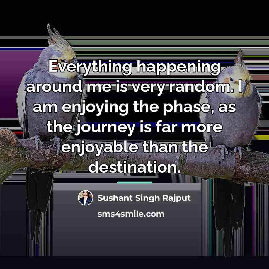 “Everything happening around me is very random. I am enjoying…” quote by Sushant Singh Rajput