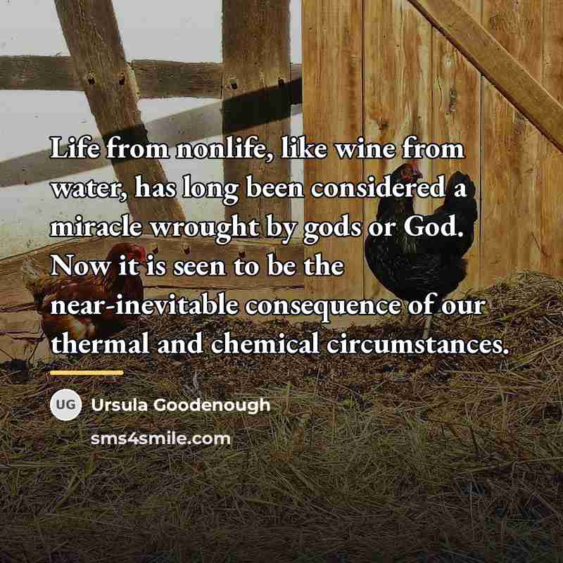 “Life from nonlife, like wine from water, has long been…” quote by Ursula Goodenough