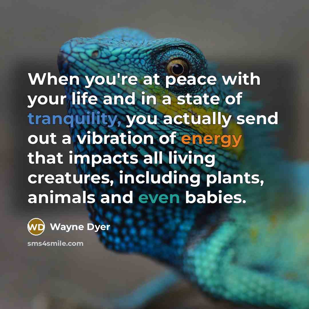 “When you're at peace with your life and in a…” quote by Wayne Dyer