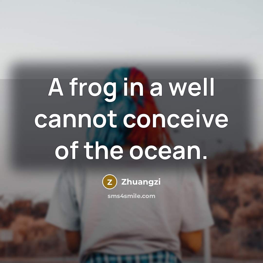 “A frog in a well cannot conceive of the ocean.…” quote by Zhuangzi