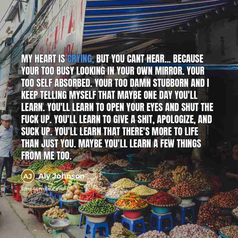 “My heart is crying, but you cant hear... because your too busy looking in your own mirror. Your too self absorbed. Your too damn stubborn and I keep telling myself that maybe one day you'll learn. You'll learn to open your eyes and shut the fuck up. You'll learn to give a shit, apologize, and suck…” quote by Aly Johnson
