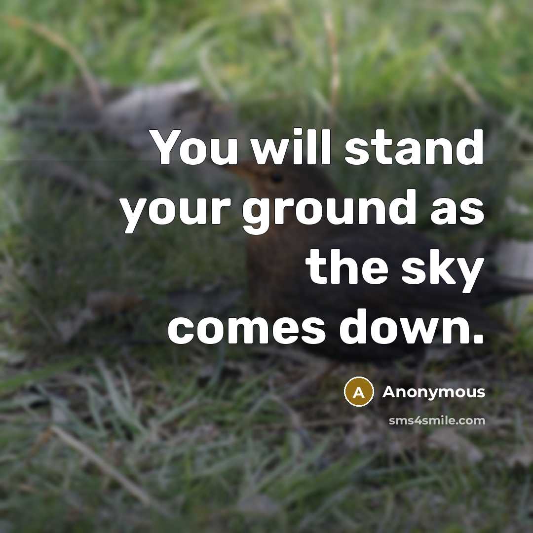 “You will stand your ground as the sky comes down.” quote by Anonymous
