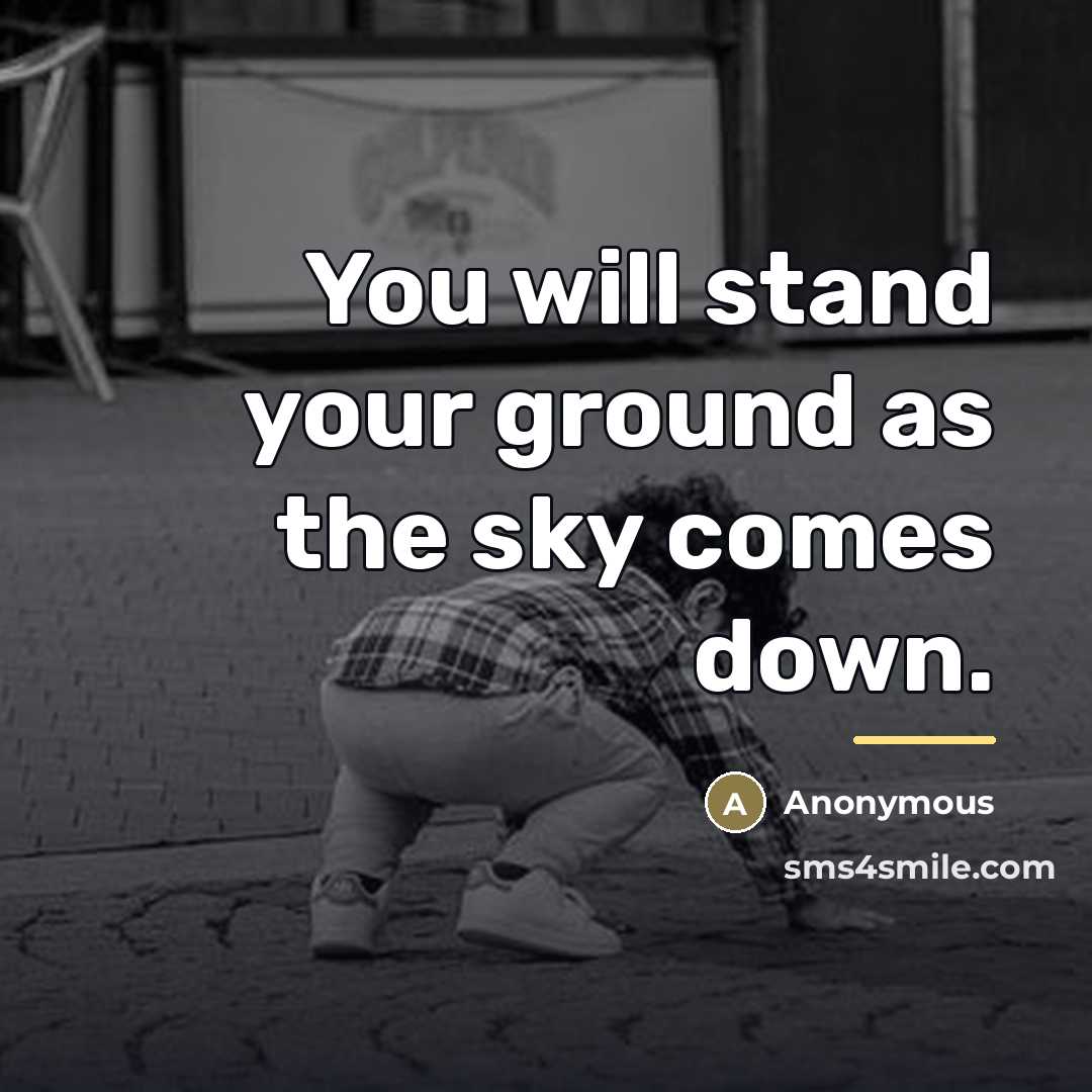 “You will stand your ground as the sky comes down.…” quote by Anonymous