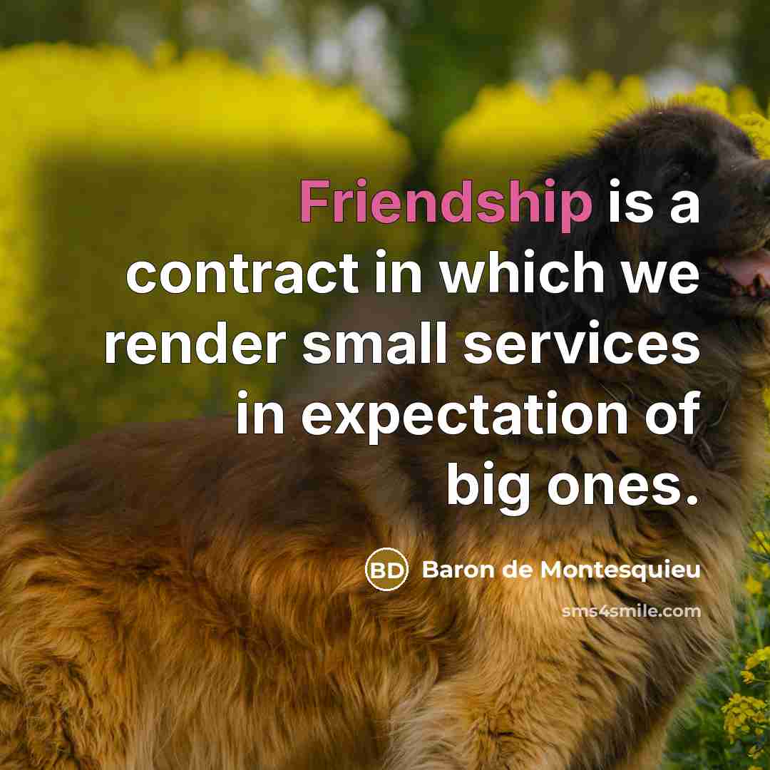 “Friendship is a contract in which we render small services…” quote by Baron de Montesquieu