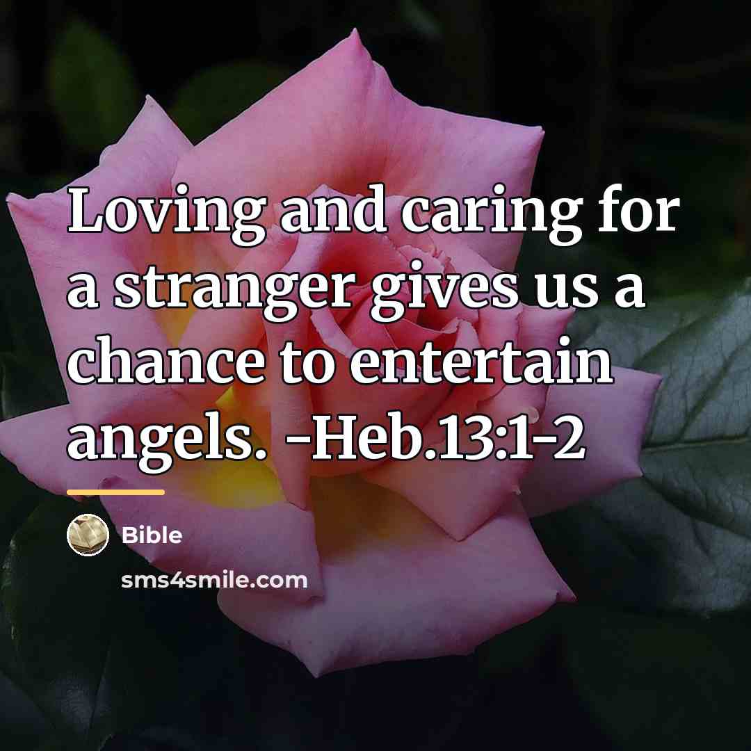 “Loving and caring for a stranger gives us a chance…” quote by Bible
