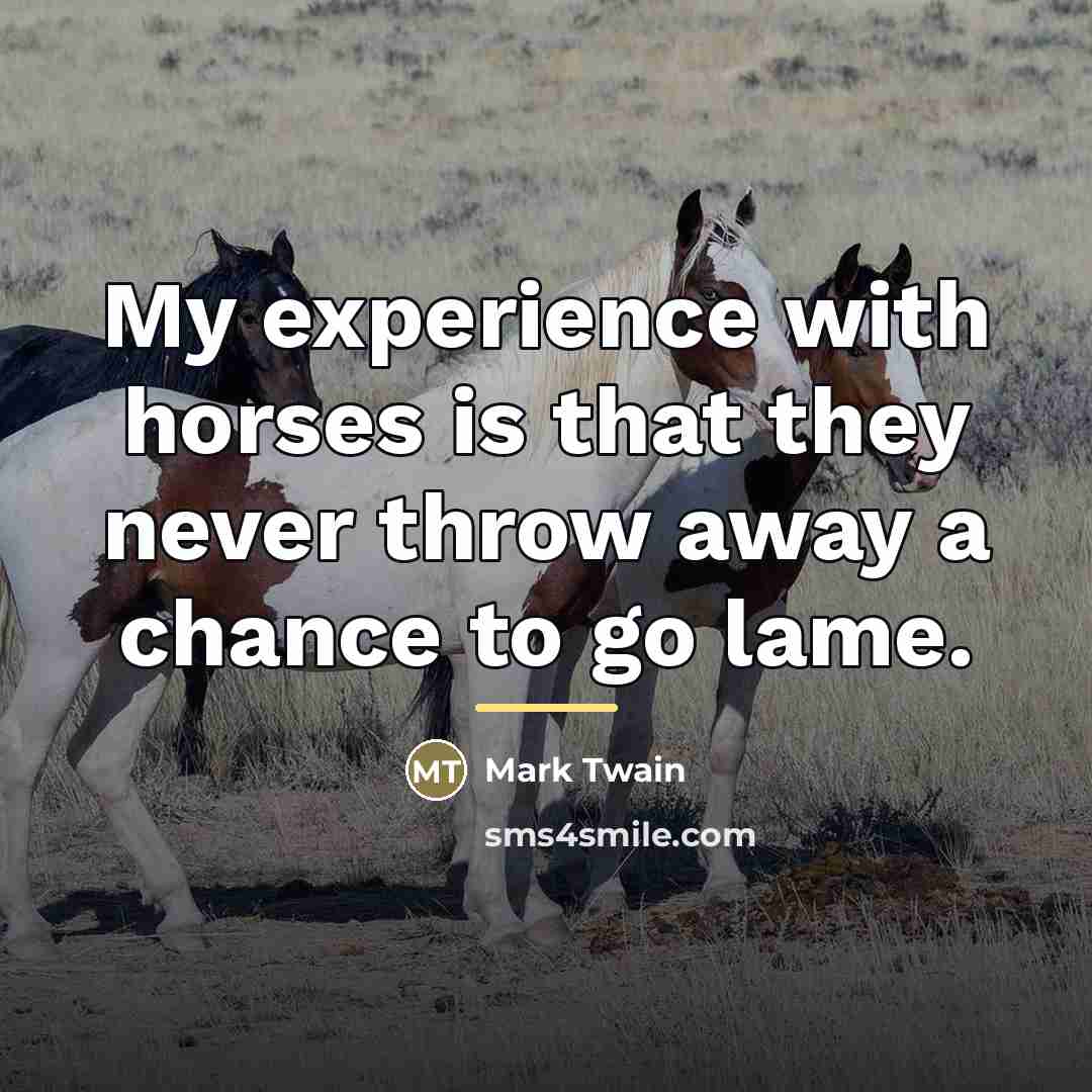 “My experience with horses is that they never throw away…” quote by Mark Twain