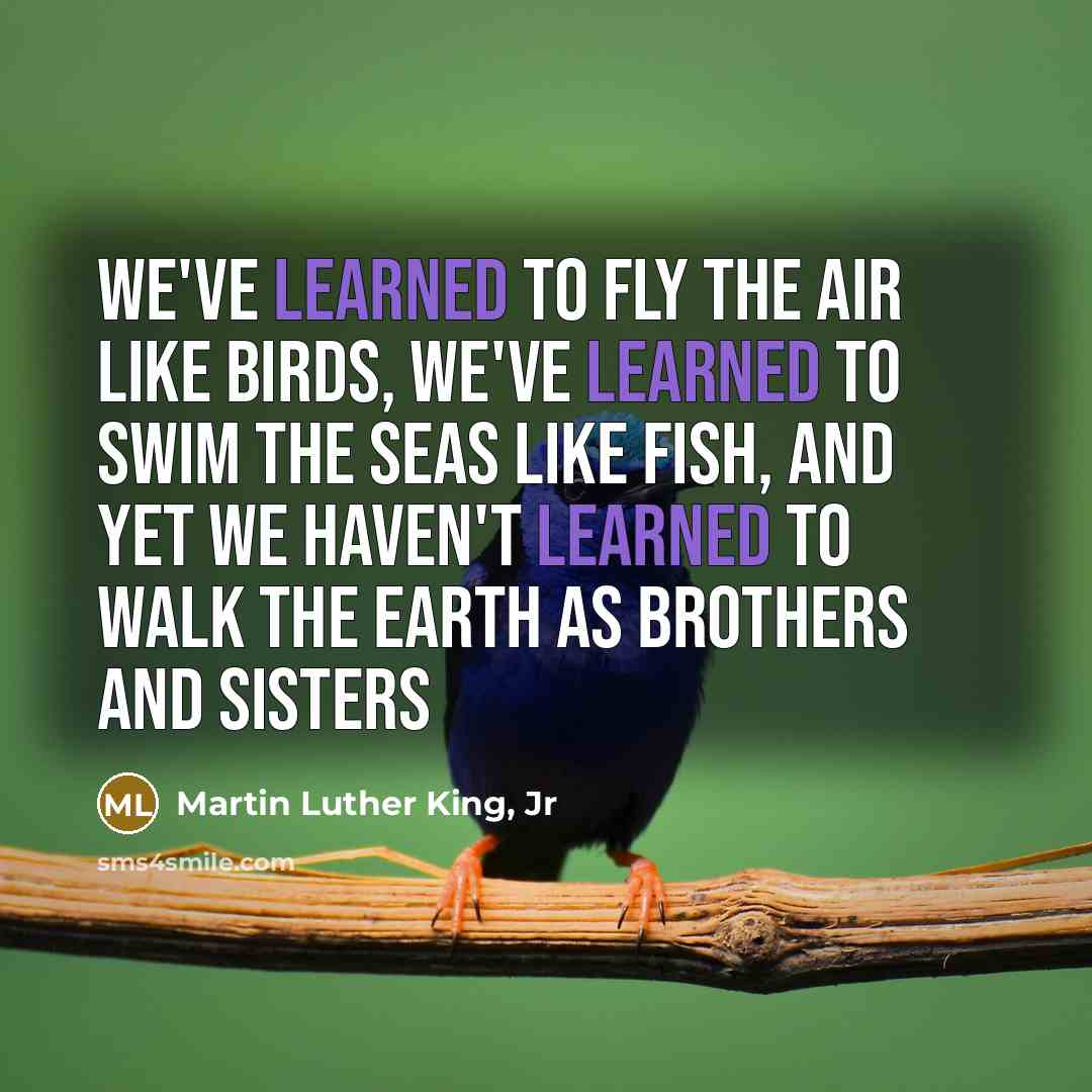 “We've learned to fly the air like birds, we've learned…” quote by Martin Luther King, Jr