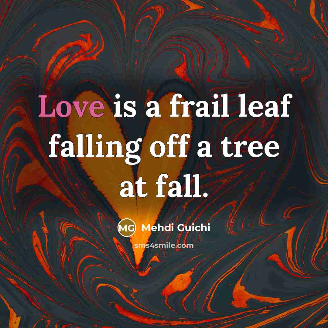 “Love is a frail leaf falling off a tree at…” quote by Mehdi Guichi