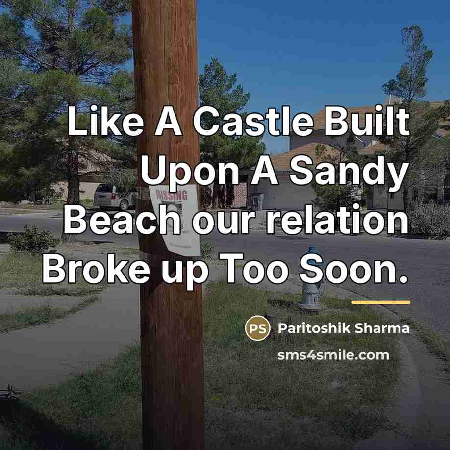 “Like A Castle Built Upon A Sandy Beach our relation…” quote by Paritoshik Sharma