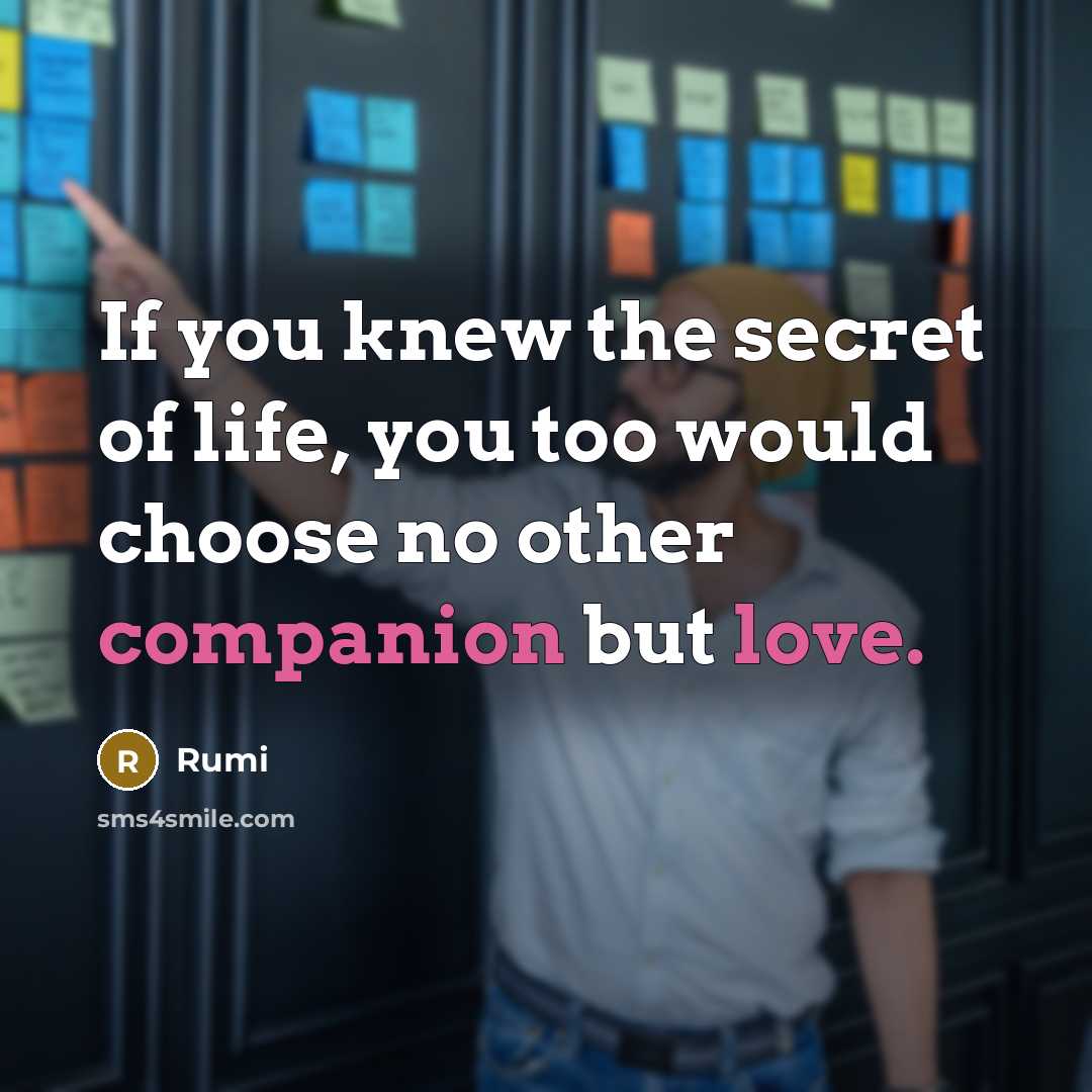 “If you knew the secret of life, you too would choose no other companion but love.” quote by Rumi