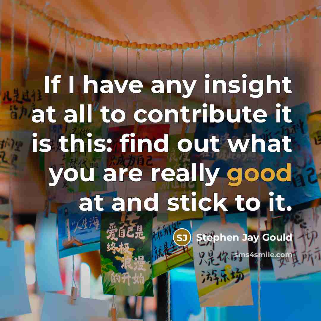 “If I have any insight at all to contribute it…” quote by Stephen Jay Gould