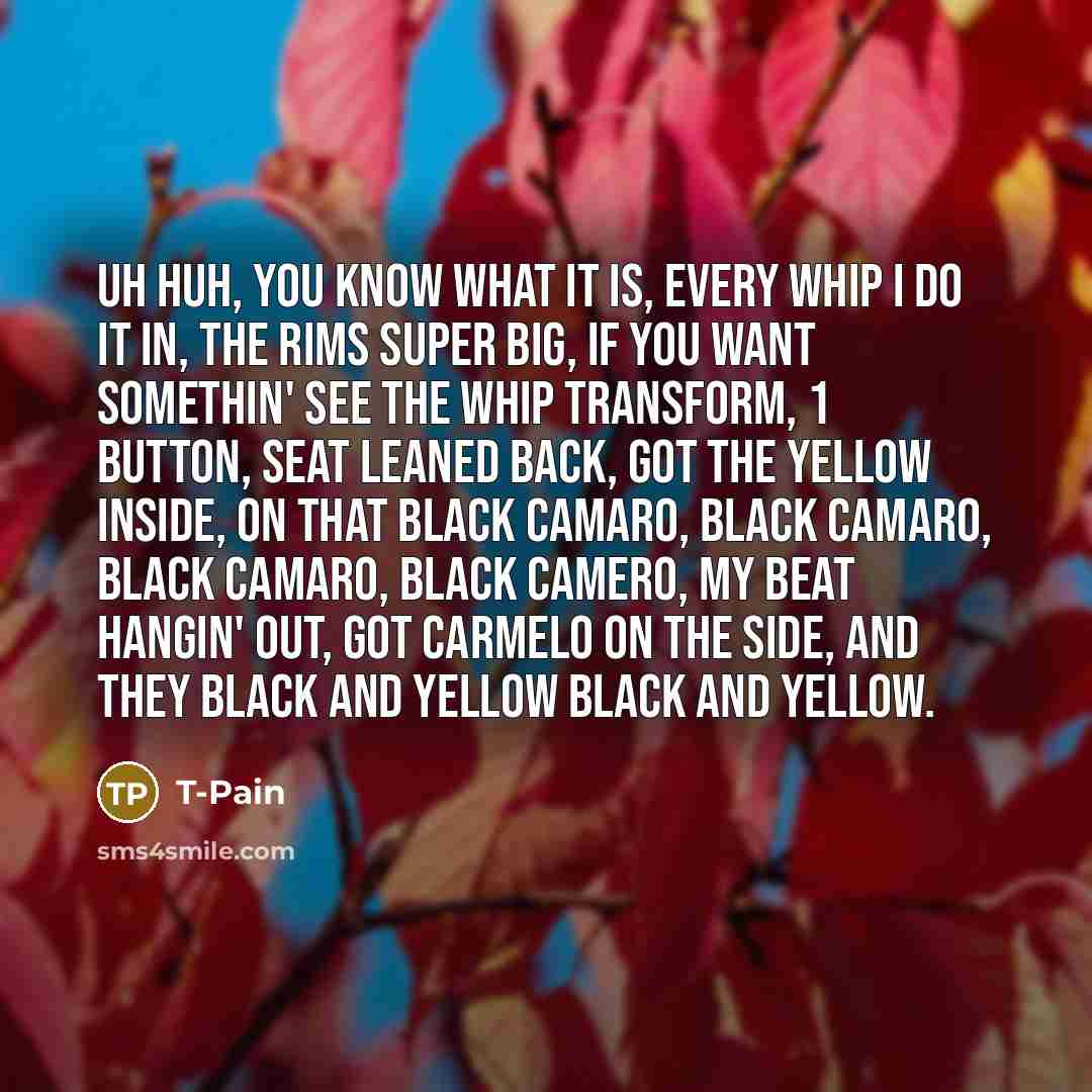 “Uh huh, you know what it is, Every whip I…” quote by T-Pain