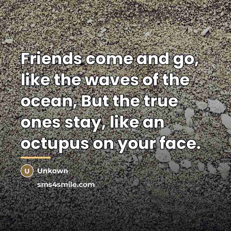 “Friends come and go, like the waves of the ocean,…” quote by Unkown