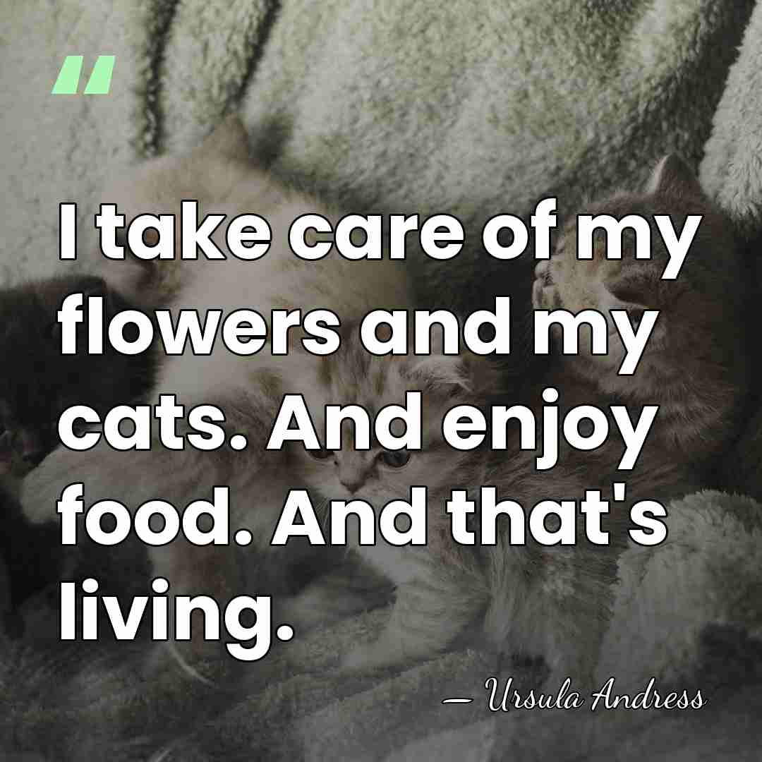 I take care of my flowers and my cats. And enjoy food.&hellip; - Ursula Andress