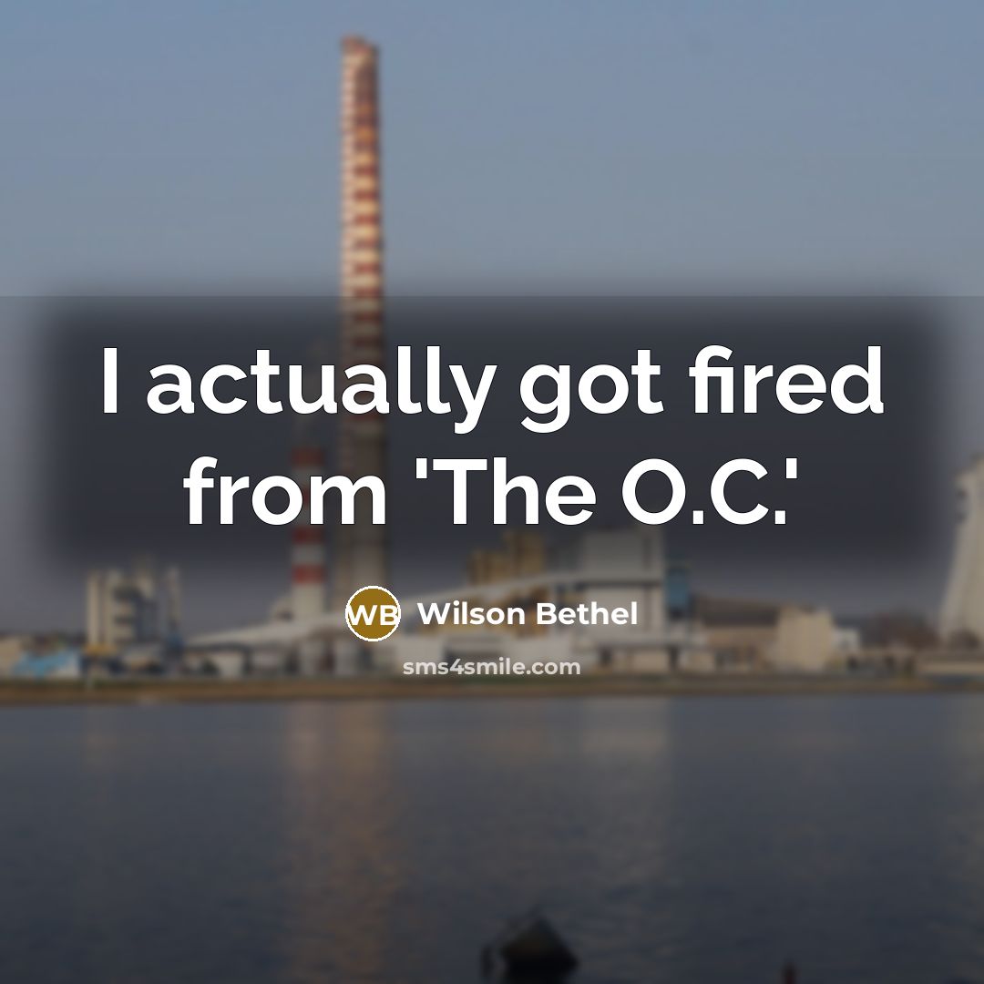 “I actually got fired from 'The O.C.'…” quote by Wilson Bethel
