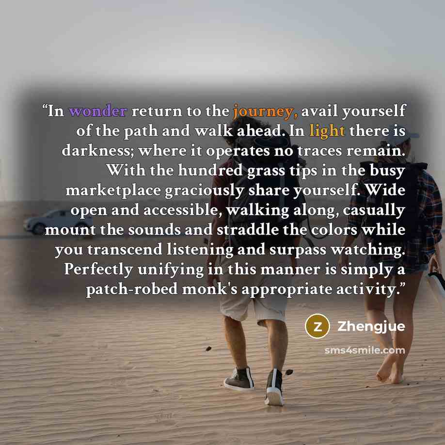 “In wonder return to the journey, avail yourself of the path and walk ahead. In light there is darkness; where it operates no traces remain. With the hundred grass tips in the busy marketplace graciously share yourself. Wide open and accessible, walking along, casually mount the sounds and straddle…” quote by Zhengjue