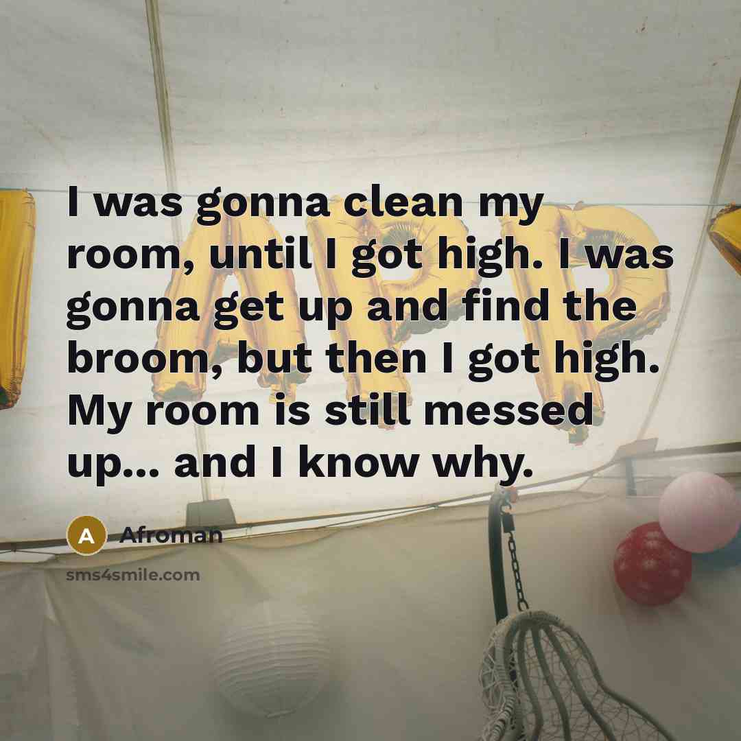 “I was gonna clean my room, until I got high.…” quote by Afroman