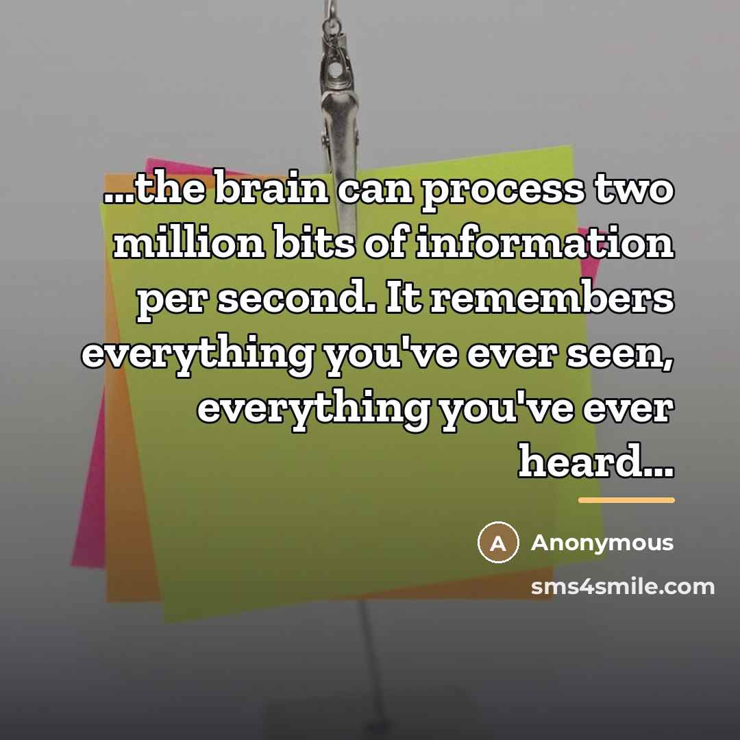 “the brain can process two million bits of information per…” quote by Anonymous
