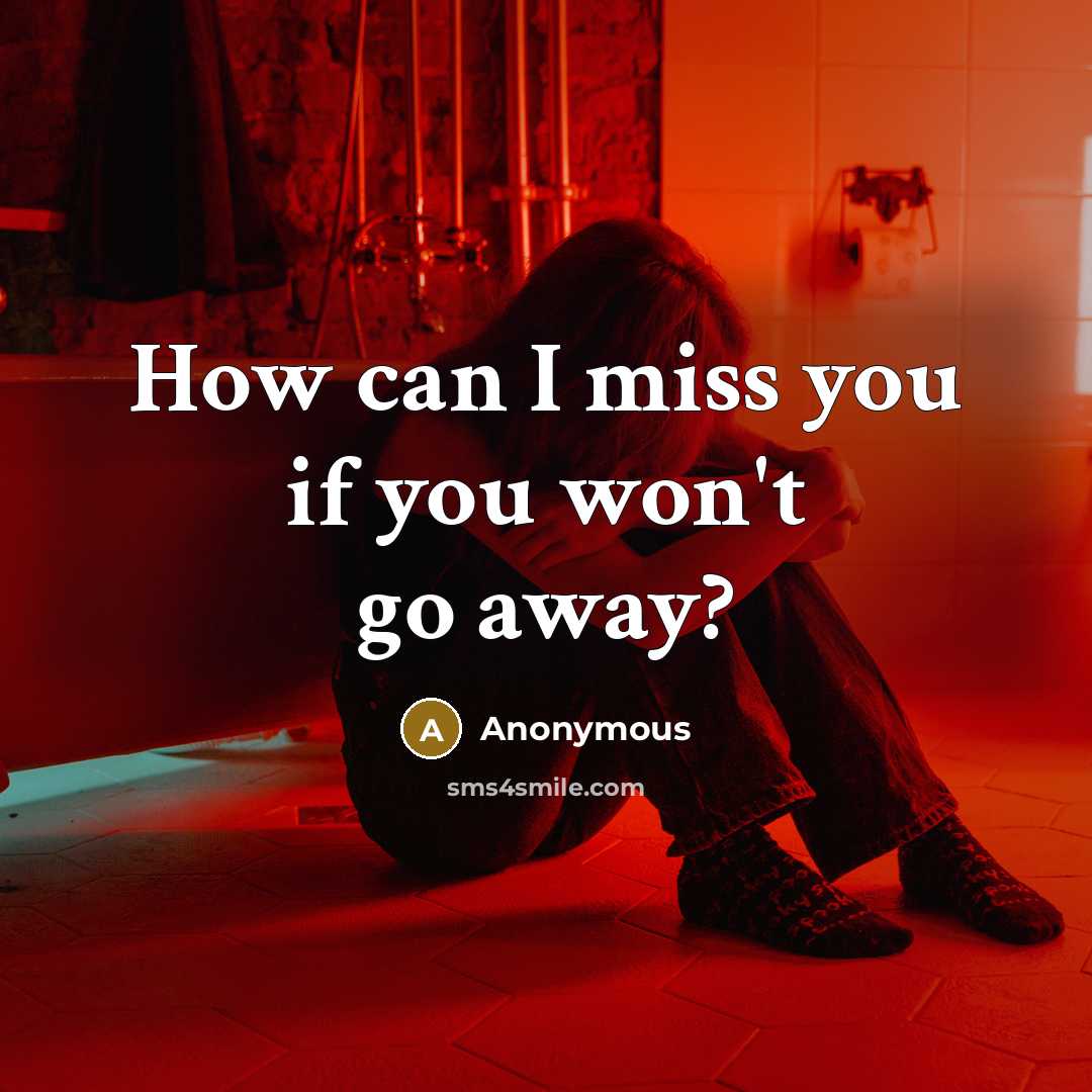 “How can I miss you if you won't go away?…” quote by Anonymous