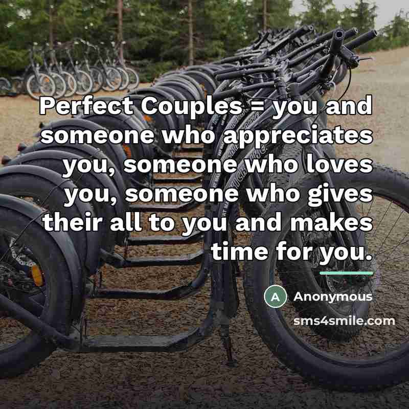 “Perfect Couples = you and someone who appreciates you, someone…” quote by Anonymous