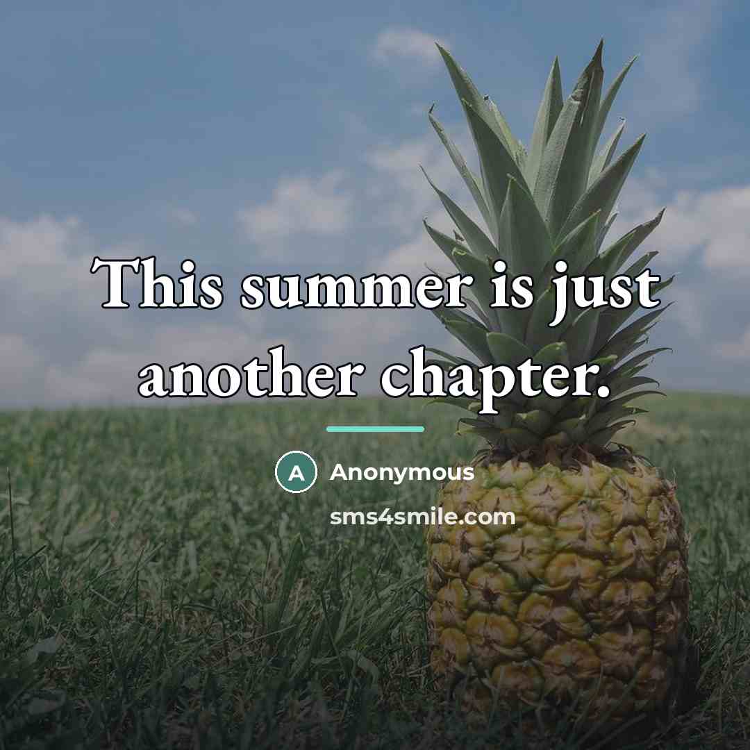 “This summer is just another chapter.…” quote by Anonymous