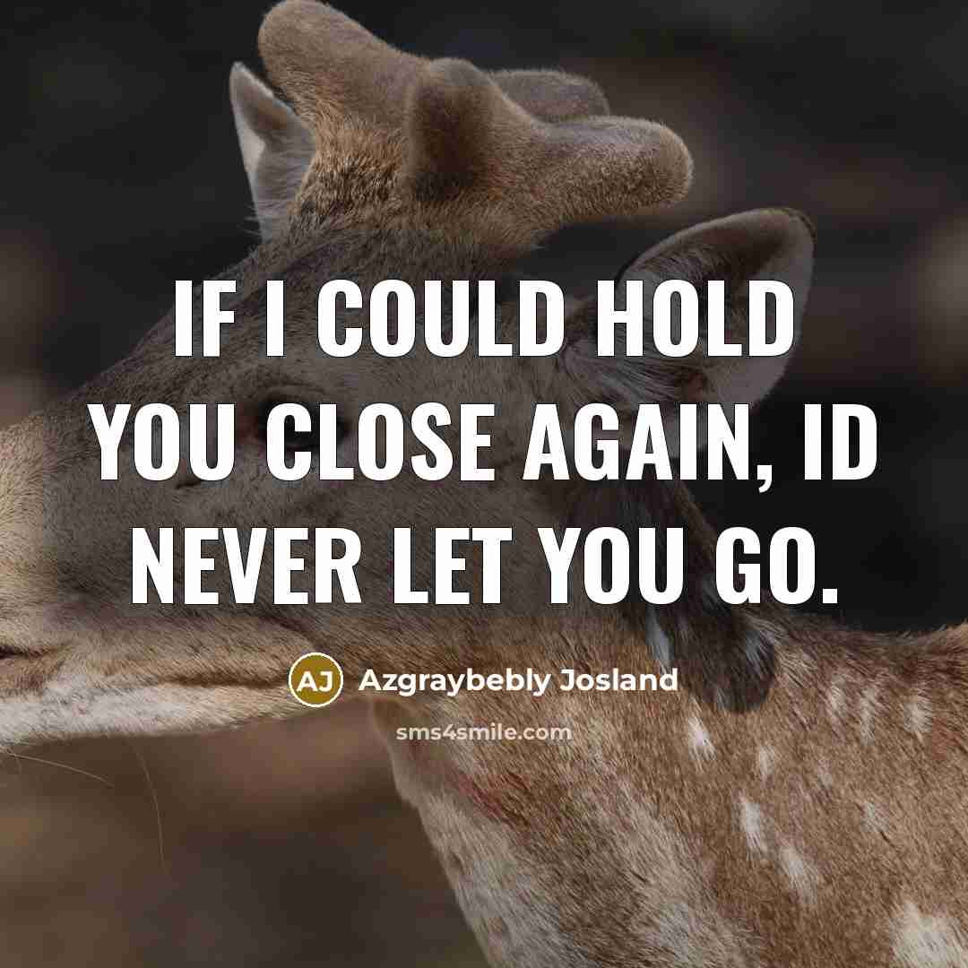 “If I could hold you close again, Id never let…” quote by Azgraybebly Josland