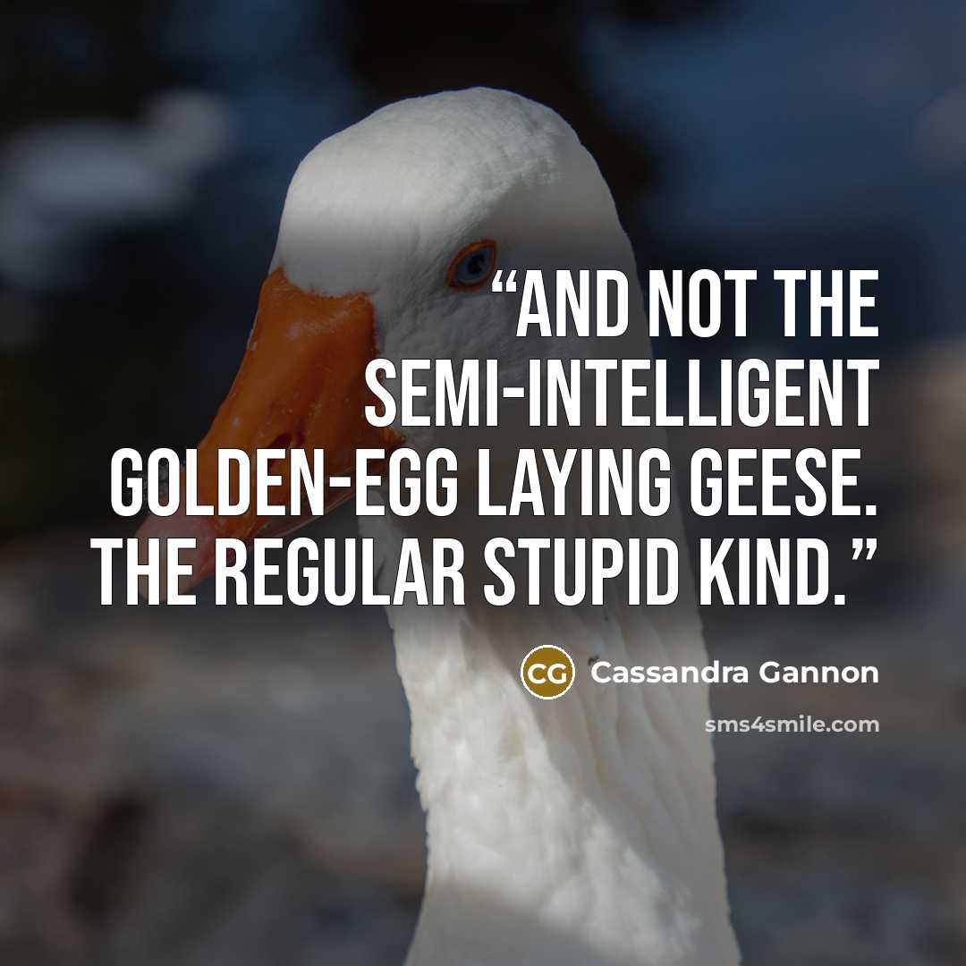 “And not the semi-intelligent golden-egg laying geese. The regular stupid kind.” quote by Cassandra Gannon